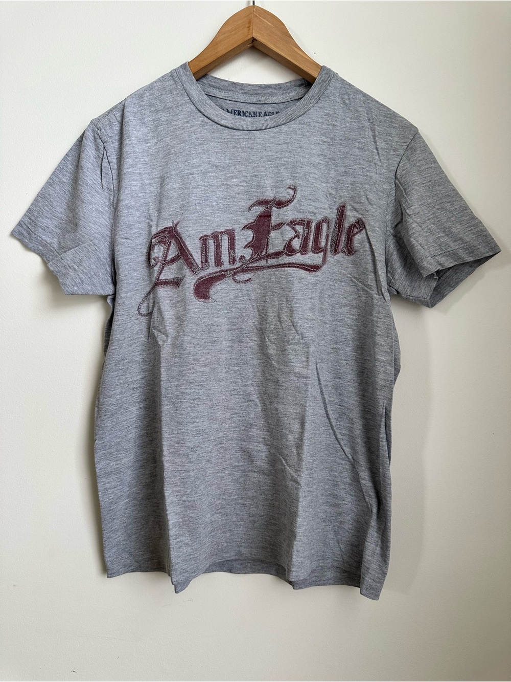 American Eagle Outfitters Men’s Vintage Gray Graphic Logo T-Shirt